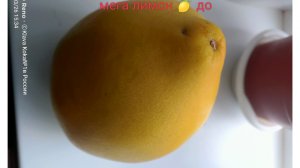 рассказываю когда и чем буду заниматься