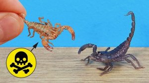 Вот почему Скорпион может умереть семь раз в течении жизни