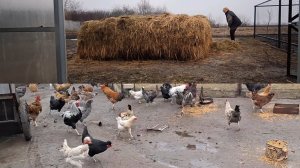 Дождь.Занимаюсь двором.Жизнь в Деревне.Круглый год надо поддерживать порядок...