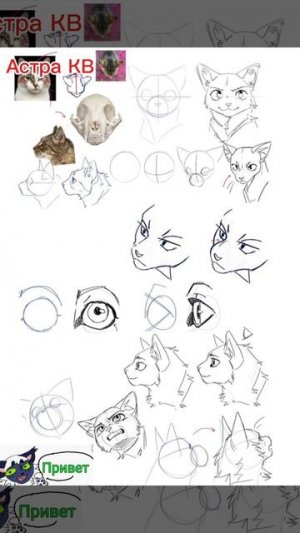 помогаю Квшникам