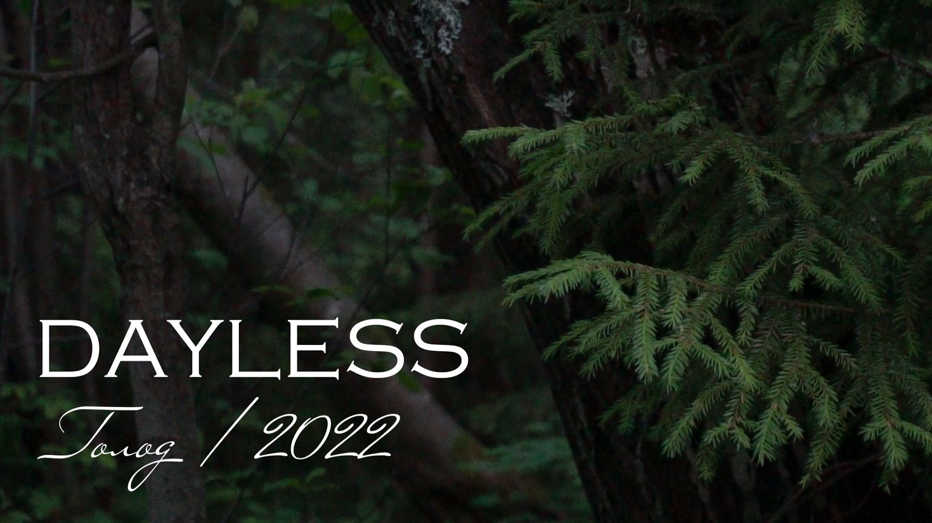 DAYLESS - Голод (стих, 2022)