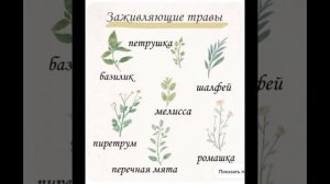 что записать в травник