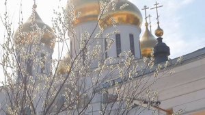 Весна в Дмитрове v2