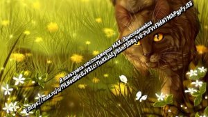 набор на мап и мой макс https://max.ru/u/f9LHodD0cOJV81crTIsKkJ6EyfbImF5DBq7v0-PuFVvFN6NYMihPgpFyJE8