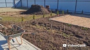 Наши 8,4 сотки🏡Одна на участке👍Стригу 🌹 розы.Обрабатываю сад от болезней и вредителей.