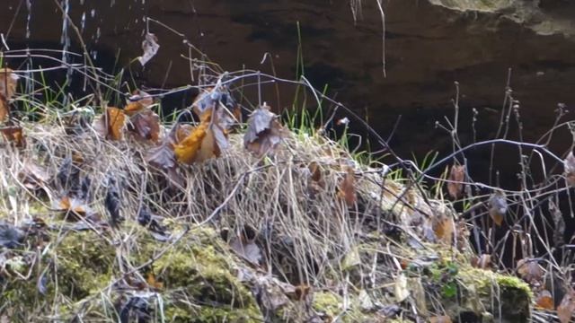 Водопад в Григориополе 3 января 2021 смотреть онлайн