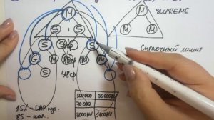 Маркетинг коротко. Все бонусы. Амина Ра