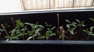 Весна, наводим порядок к Пасхе, ездили на реку Сакмару