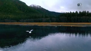 Аляска: Семья из леса 6 сезон 8 серия (реалити-шоу, 2017)