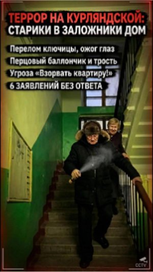 Опасные соседи: жители Курляндской улицы в страхе