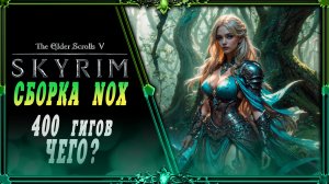 сборка Skyrim NOX : 450 гигов чего-то.
