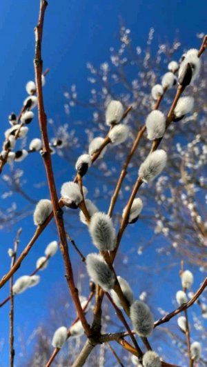 рубрика вопрос ответ