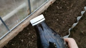 Обработка поликарбонатной теплицы весной