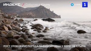 Рост уровня кислорода зафиксирован у берегов Крыма