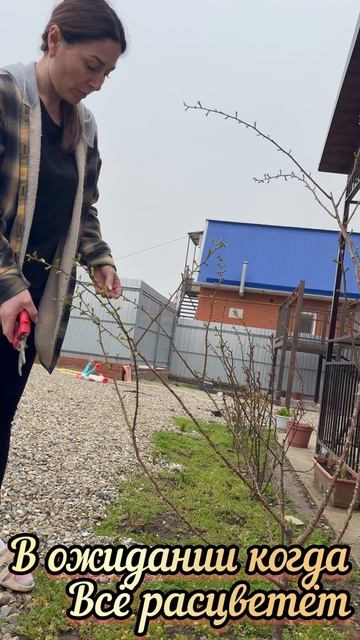 В ожидании весны