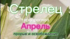 Стрелец♐️ Ваш апрель 2026г.