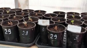 Обзор весенних работ 27.03.2026г