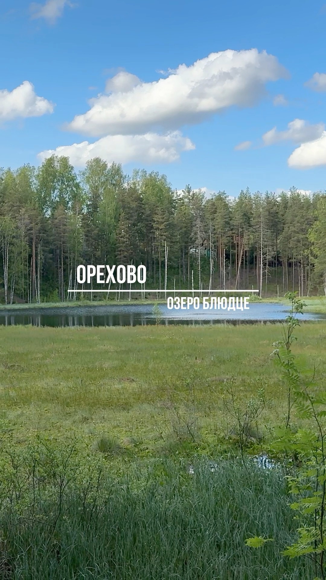 Орехово озеро Блюдце,  Приозерский район