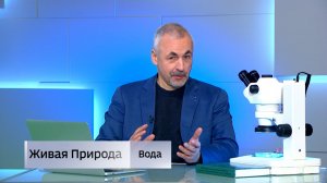 Живая природа. "Вода"