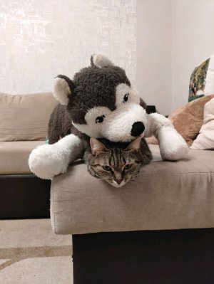 единорожка Огна