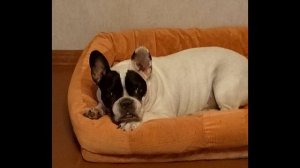 полная песня надо спать ( настоящий клип летом)