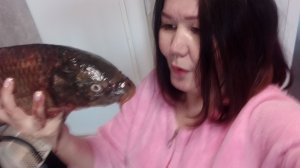 Рыба моей мечты 🐟😁Ушиваю платья👗, прячу ноги 👣,Рассказываю ,как у меня украли полку✌ 🤣