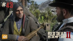 ПРЕДОТВРАЩЕНИЕ ВОЙНЫ ► Red Dead Redemption 2 #43