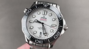 Omega Seamaster Diver 300M 210.30.42.20.04.001