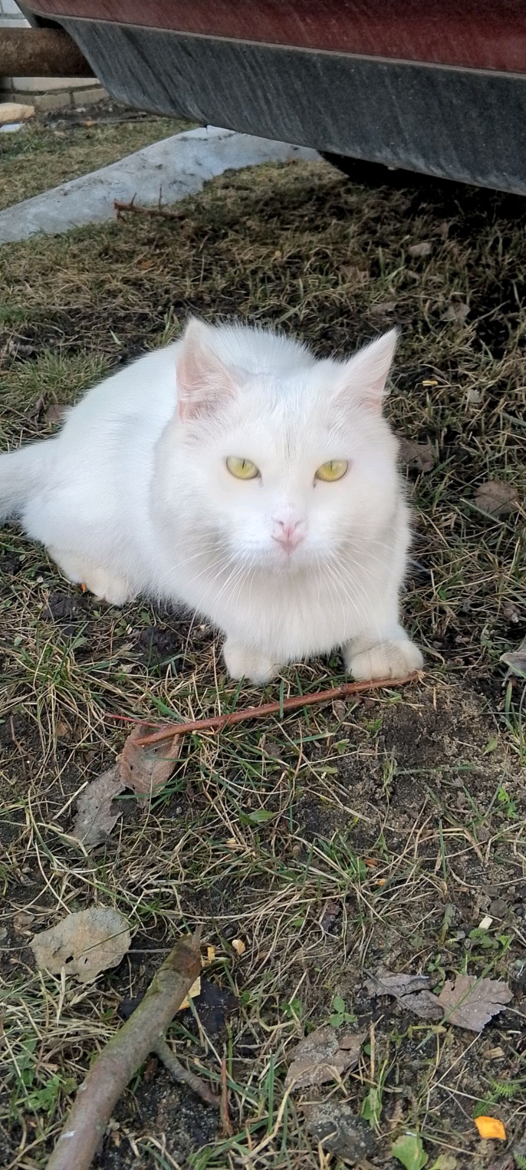 делаем дела по дому