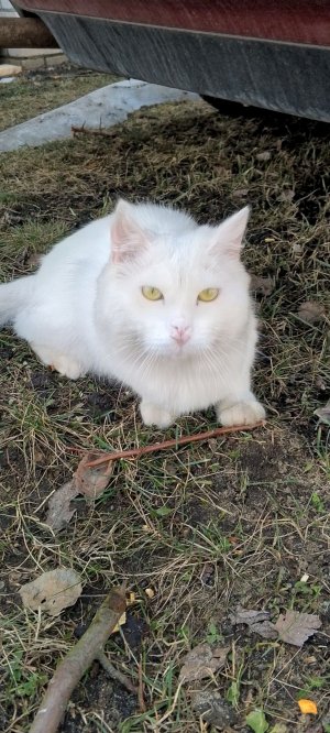 делаем дела по дому