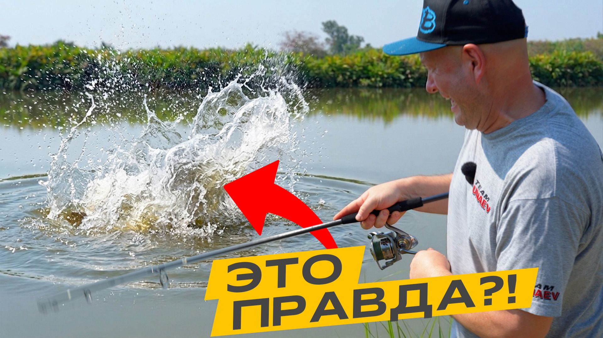 КРАСНОДАРСКИЙ КРАЙ заполонили РЫБЫ-МОНСТРЫ! Глобальное потепление это не шутка