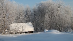 Облёт,обножка у пчёл в огороде.