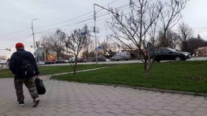 На прогулке. Не мучить своих стариков, у них свой мир.   28.03.2026