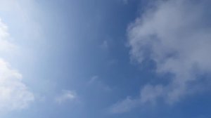 28.03.26 г. Андижанская порода голубей (2)