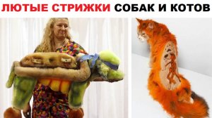 Лютые стрижки собак и котов