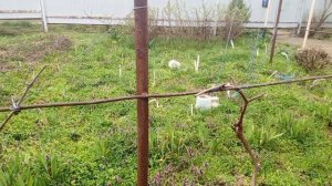 Блины пеку,ремонт ,цветы ,огород...