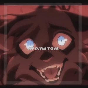 В описание пжпжпжпж🙏🙏