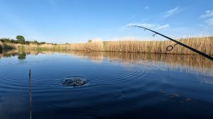 Хороший день, много поклевок щуки.