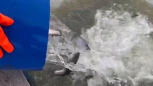 28.03.26 г. РК Волна.