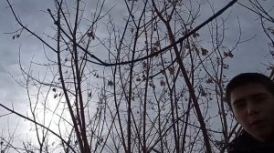 ГУЛЯЕМ ПО ЗАБРОШКАМ? (Нерстайк,Степан)