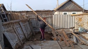 Сломала пол сарая. Привезли шины. Время сажать редиску. Томаты превратились в пальмы.