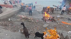 Варанаси — самый шокирующий город Индии | Жизнь и смерть на берегу Ганга