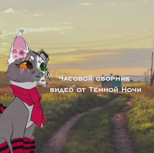 Часовой сборник видео /\/ 1 #Коты Воители #Тёмная Ночь КВ