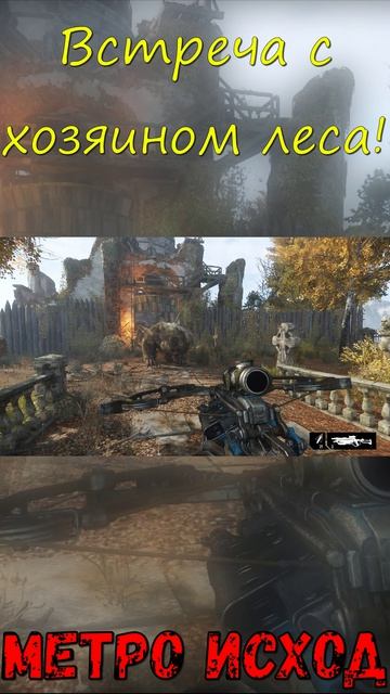 Встреча с хозяином леса! Метро Исход!