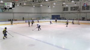 ССМО по хоккею Химик 2015-ХК Витязь 2015 г. Подольск