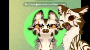 У меня есть ТГ канал!? Быстро в описание! Обязательно присойденяйся!