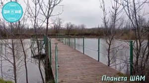 «Весенняя Дубрава 2026»