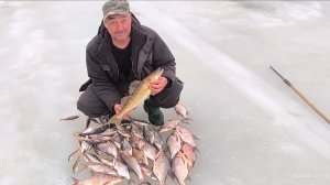 Закрылись на Чепце.