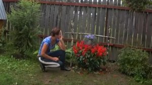 6 соток 12 августа 2021 года. Хроника. Декор из цветов "Котелок на костре"