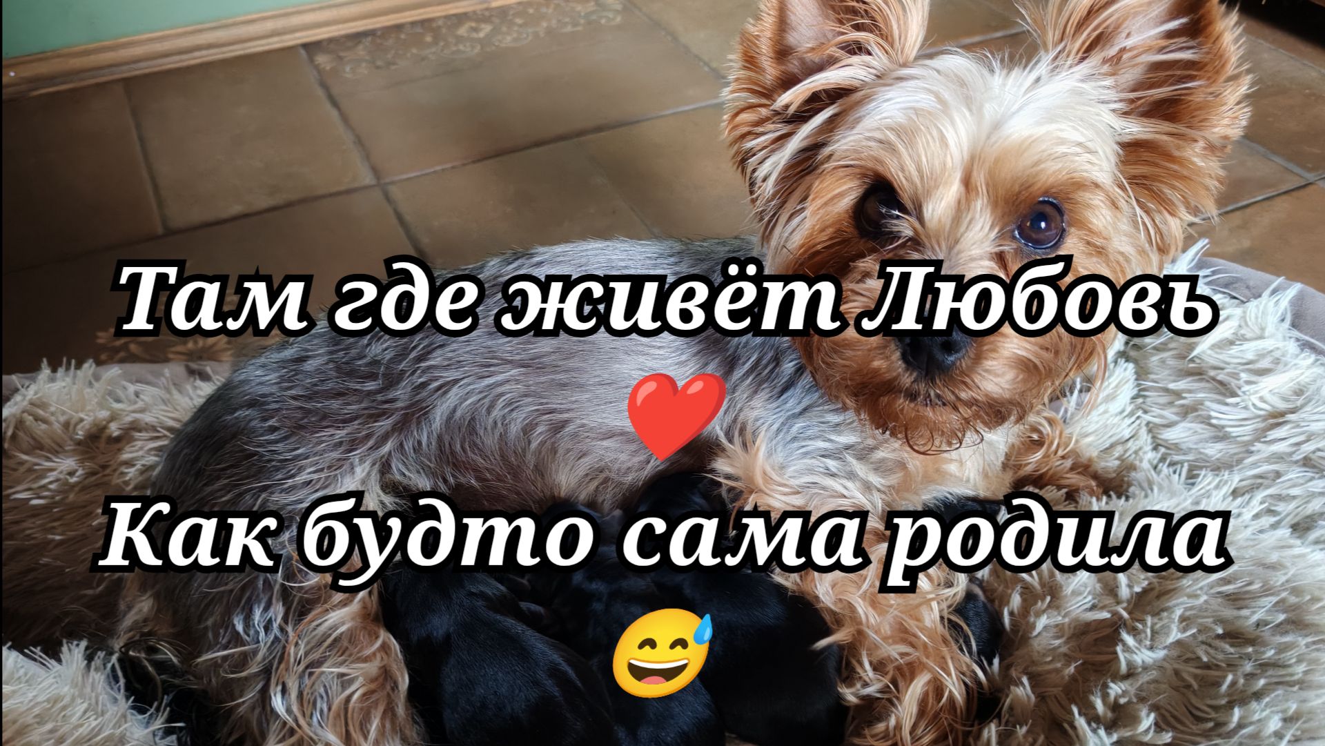 #111 Как будто сама родила 🫣